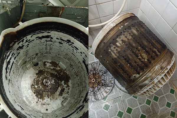 Lý do nên chọn vệ sinh máy giặt tại Long Biên