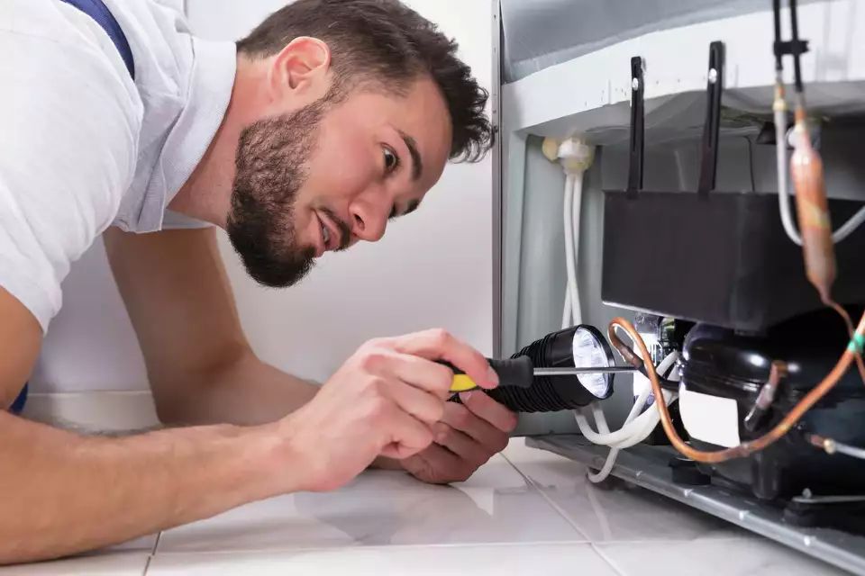 Dịch Vụ Sửa Tủ Lạnh Tại Long Biên Gồm Những Hạng Mục Nào?