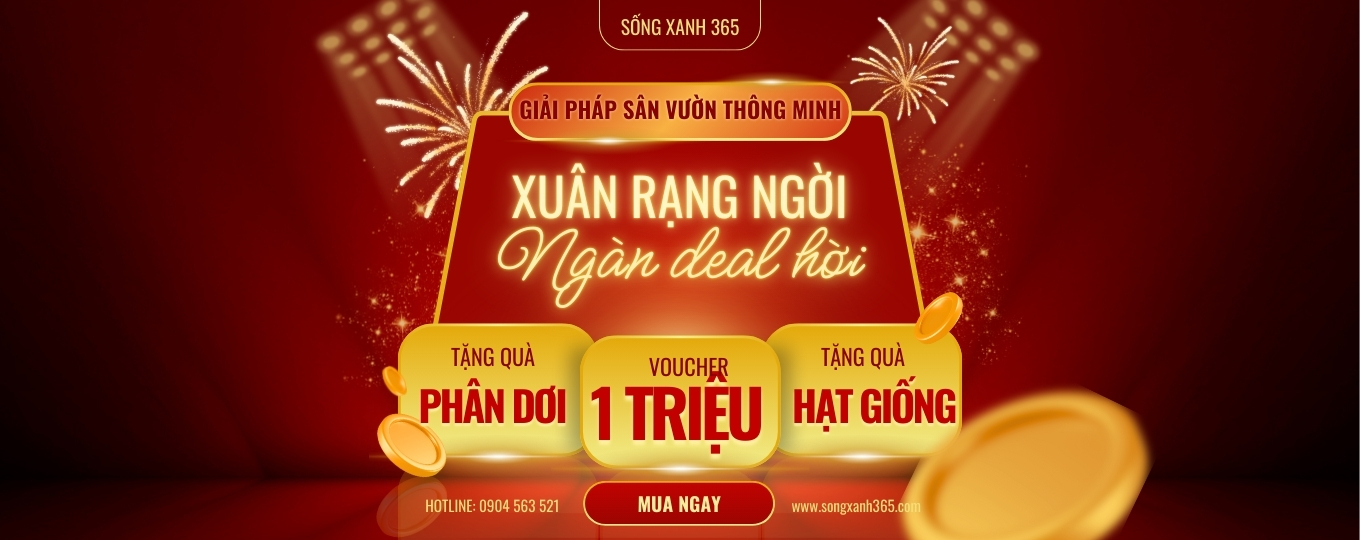 quà tặng tết 2025