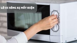 Sửa Lò Vi Sóng Cầu Giấy – Dịch Vụ Uy Tín, Có Mặt Sau 30 Phút | Điện Lạnh Thành Nam